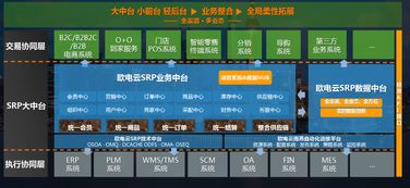 人民网 第一财经10余家媒体专访欧电云创始人,大中台成为新趋势